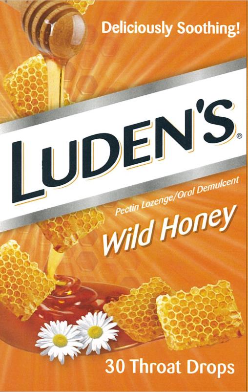 PRINCIPAL DISPLAY PANEL

LUDEN’S® WILD HONEY 
Pectin Lozenge / Oral Demulcent
30 THROAT DROPS

