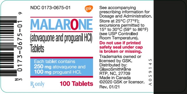 Malarone Adult 100 count label