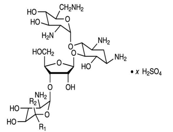 The chemical structure for the active ingredient Neomycin Sulfate 