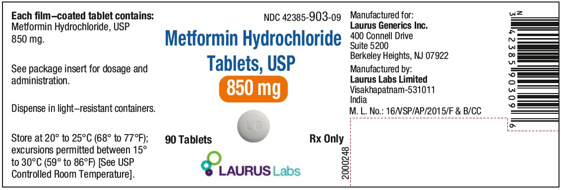 PRINCIPAL DISPLAY PANEL - Container Label (850 mg - 90's count)