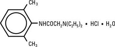 Lidocaine HCl Structure