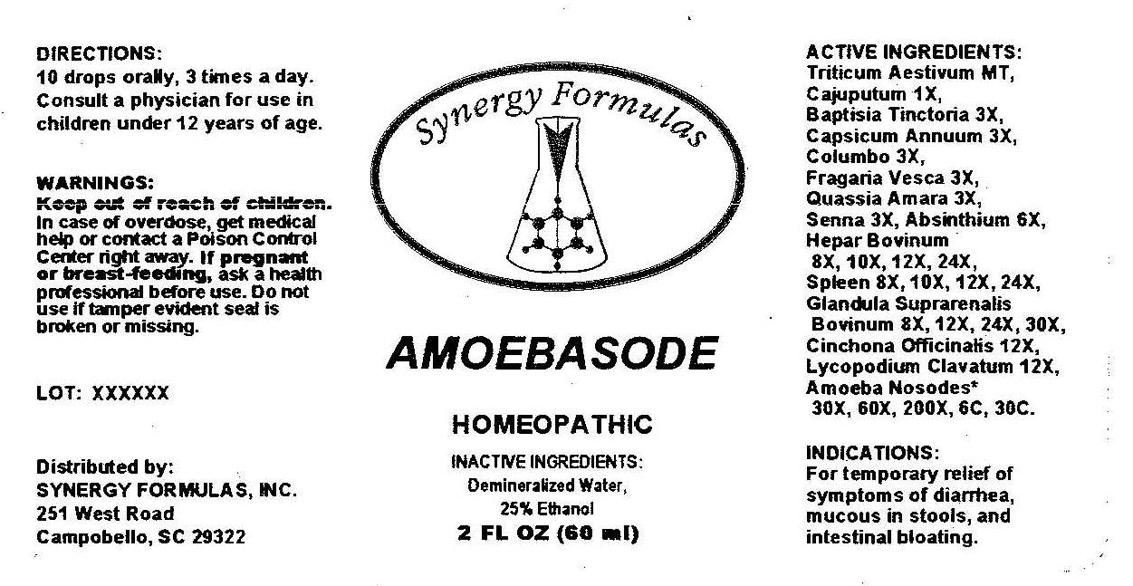 Amoebasode