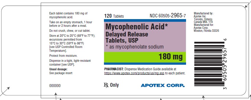 mycophenolate-180mg