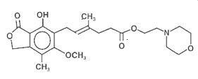 mycophenolate-structure-.jpg