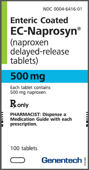 PRINCIPAL DISPLAY PANEL - 500 mg Enteric Coated Tablet Bottle Label