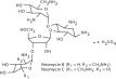 Neomycin Sulfate Structural Formula
