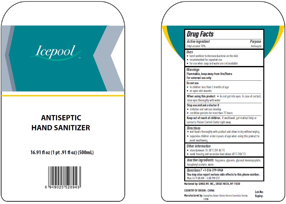 Icepool Tm Antiseptic Hand Sanitizer