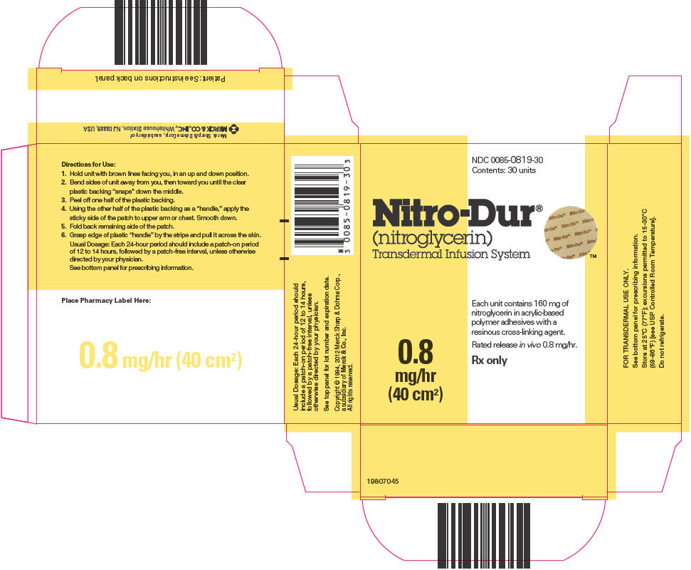 PRINCIPAL DISPLAY PANEL - 160 mg Pouch Box