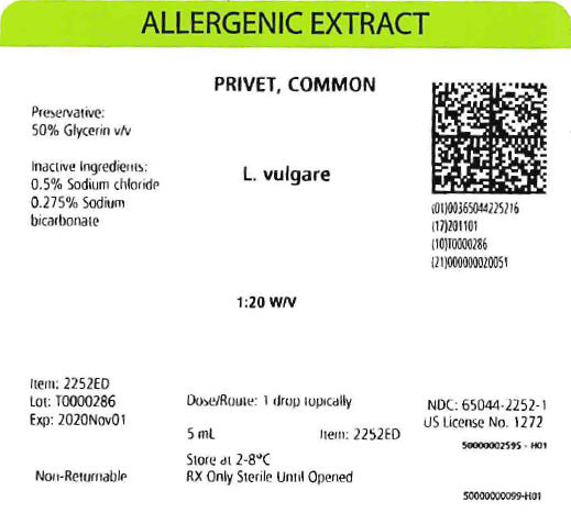 Privet, Common, 5 mL 1:20 w/v Carton Label