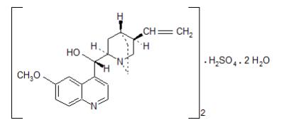 The structural formula for Quinidine sulfate is a specific inhibitor of CYP2D6-dependent oxidative metabolism used in NUEDEXTA to increase the systemic bioavailability of dextromethorphan. The chemical name is quinidine sulfate: cinchonan-9-o1, 6’-methoxy-, (9S) sulfate (2:1), (salt), dihydrate. Quinidine sulfate dihydrate has the empirical formula of (C20H24N2O2)2•H2SO4•2H2O with a molecular weight of 782.96. 