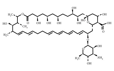 nystatin-structure