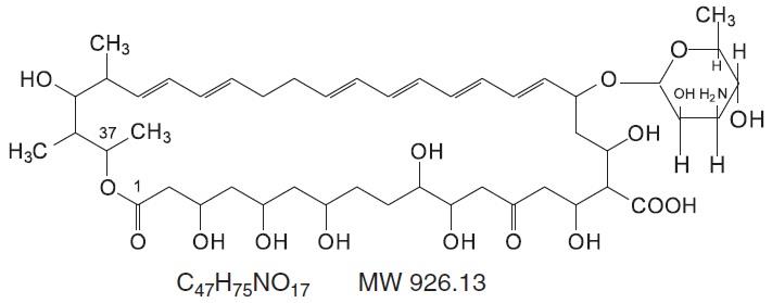 Nystatin Structure