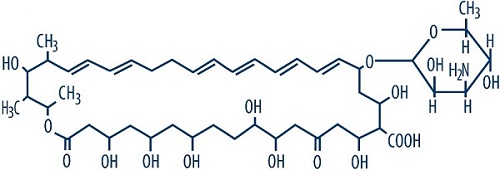 nystatin_structure