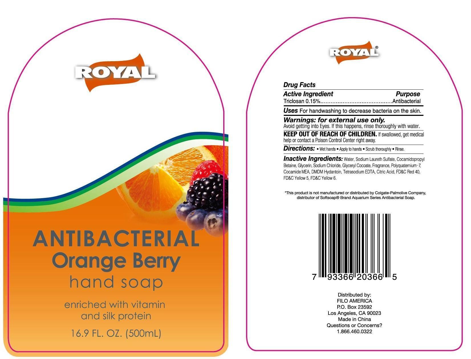Royal Antibacterial Orange Berry Hand Cleanse | Triclosan Gel Breastfeeding