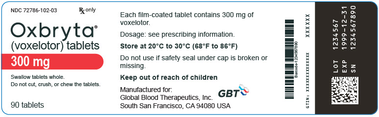 PRINCIPAL DISPLAY PANEL - 300 mg Tablet Bottle Label - 72786-102