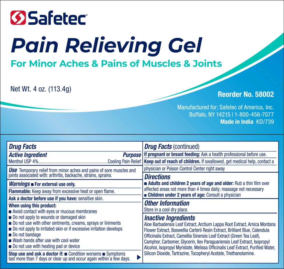 Principal Display Panel – 4 oz Pain Relieving Gel
