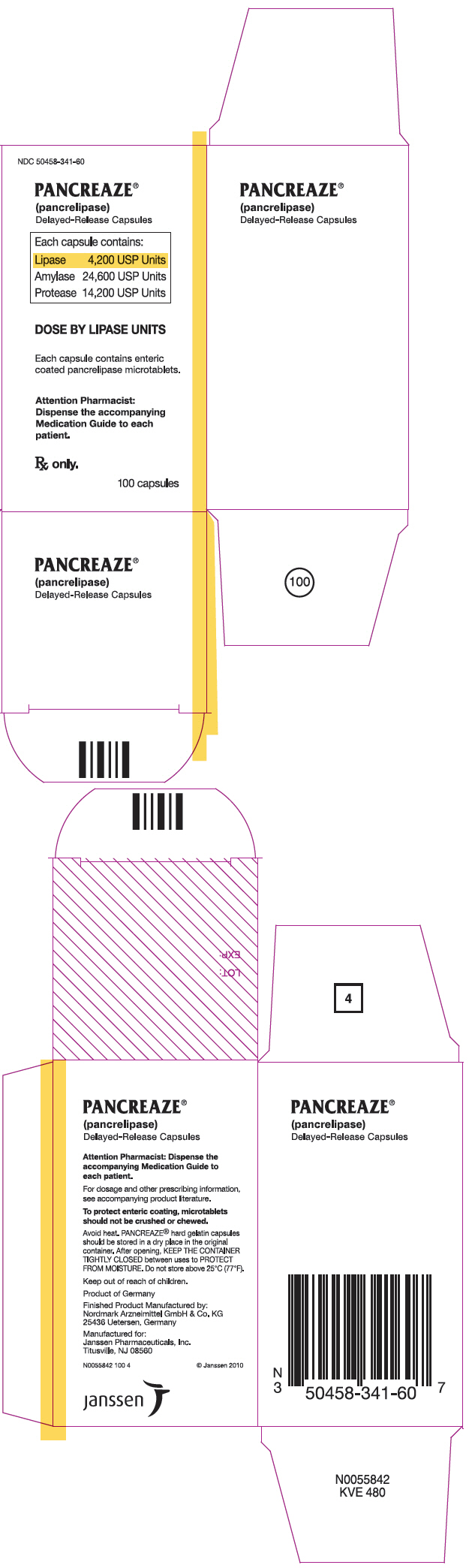 PRINCIPAL DISPLAY PANEL - 4,200 USP Unit Capsule Bottle Carton