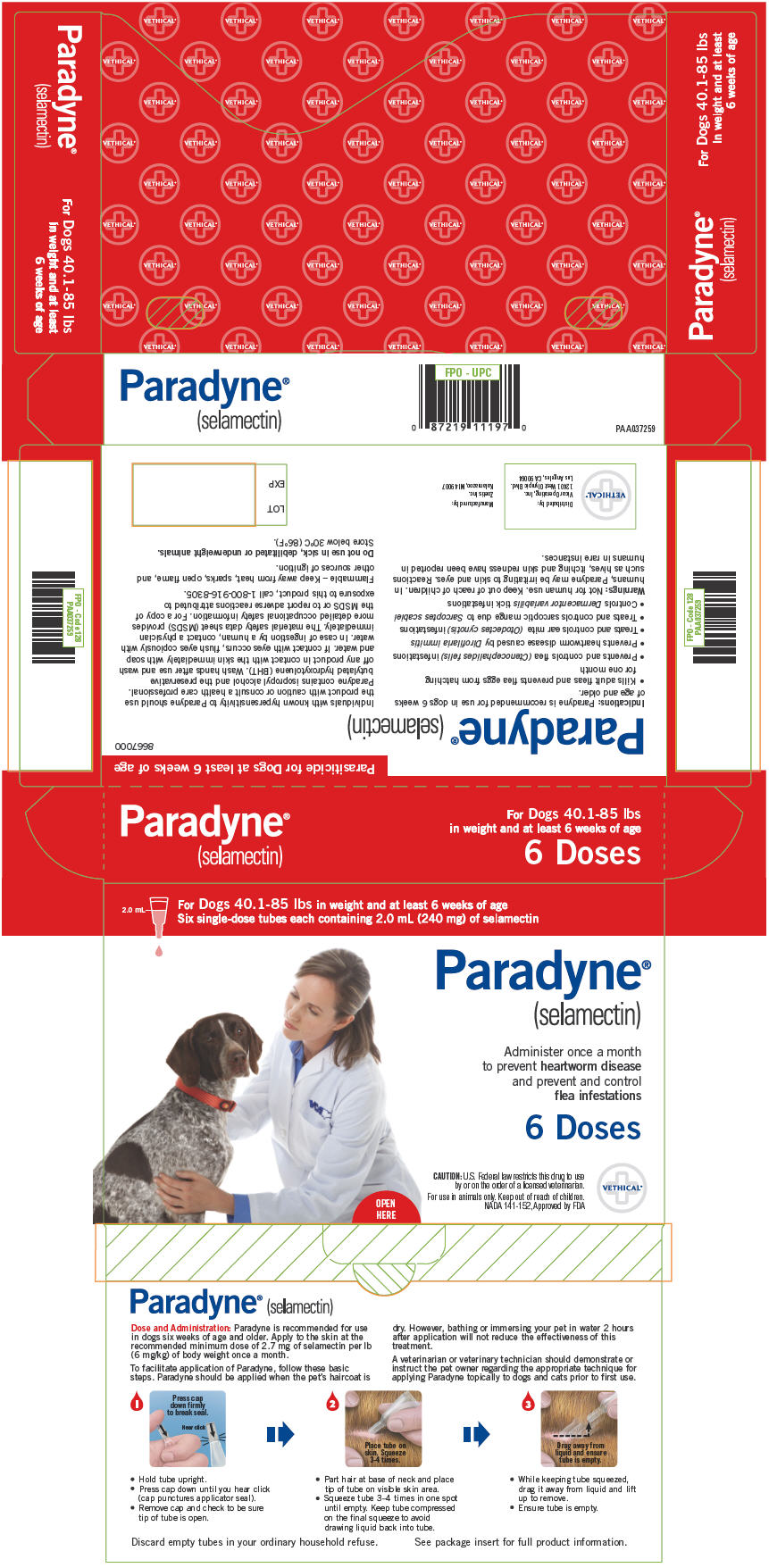 PRINCIPAL DISPLAY PANEL - 120 mg Tube Carton