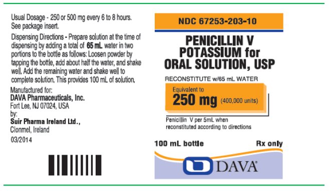 Principal Display Panel front - Penicillin V Potassium for Oral Solution, USP Equivalent to 250 mg (400,000 units) 100 mL bottle