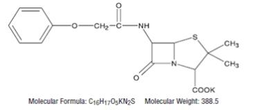 The following chemical structure for Penicillin V is the phenoxymethyl analog of penicillin G. 
Penicillin V potassium is the potassium salt of penicillin V. 
