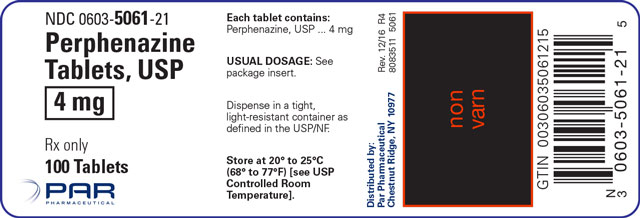 Image of the 100ct label for Perphenazine Tablets, USP 4 mg