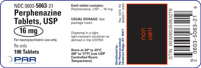 Image of the 100ct label for Perphenazine Tablets, USP 16 mg