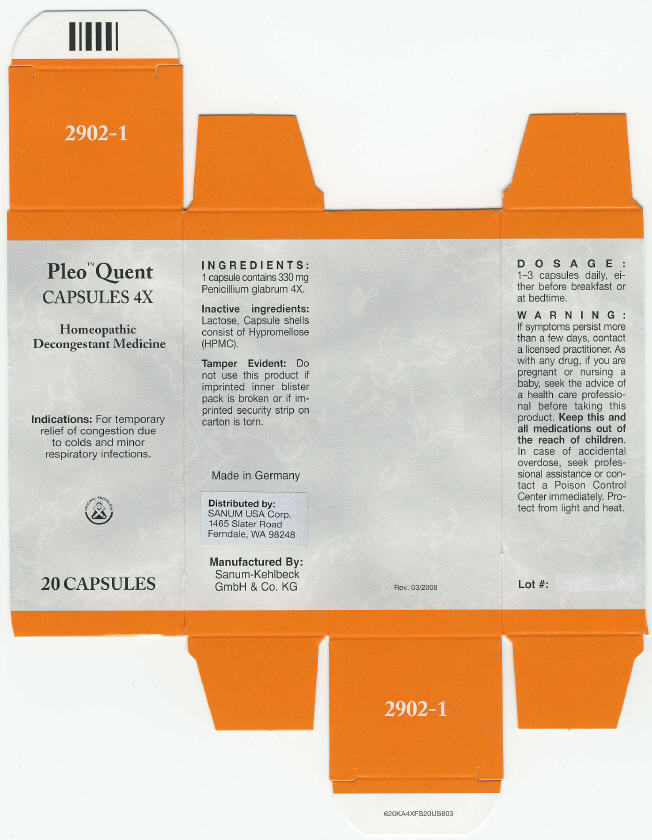 Principal Display Panel - 20 Capsules Carton