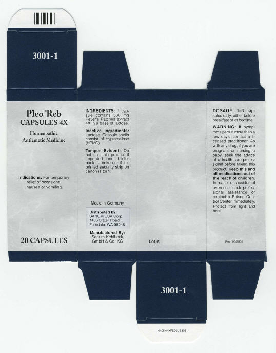 PRINCIPAL DISPLAY PANEL - 20 Capsule Carton