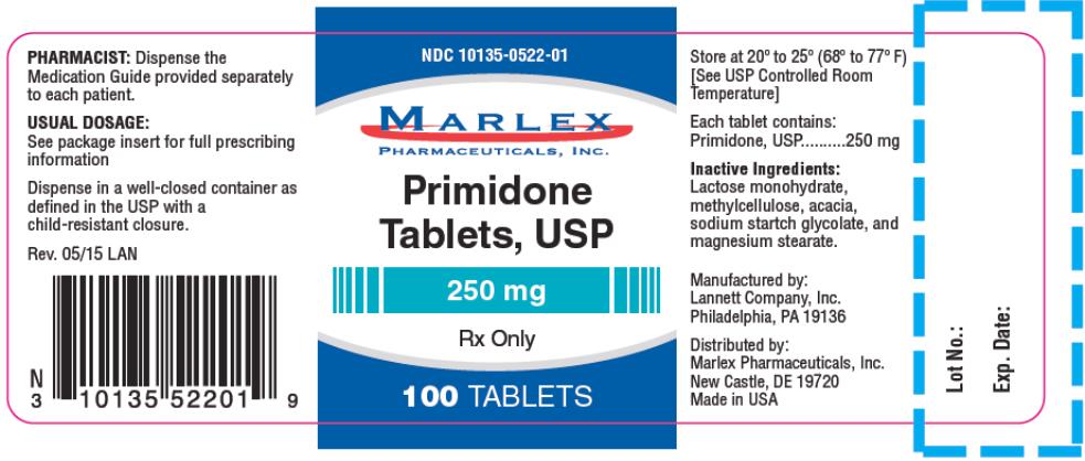 PRINCIPAL DISPLAY PANEL
NDC 10135-0522-01
Primidone
Tablets, USP
250 mg
Rx Only
100 TABLETS
