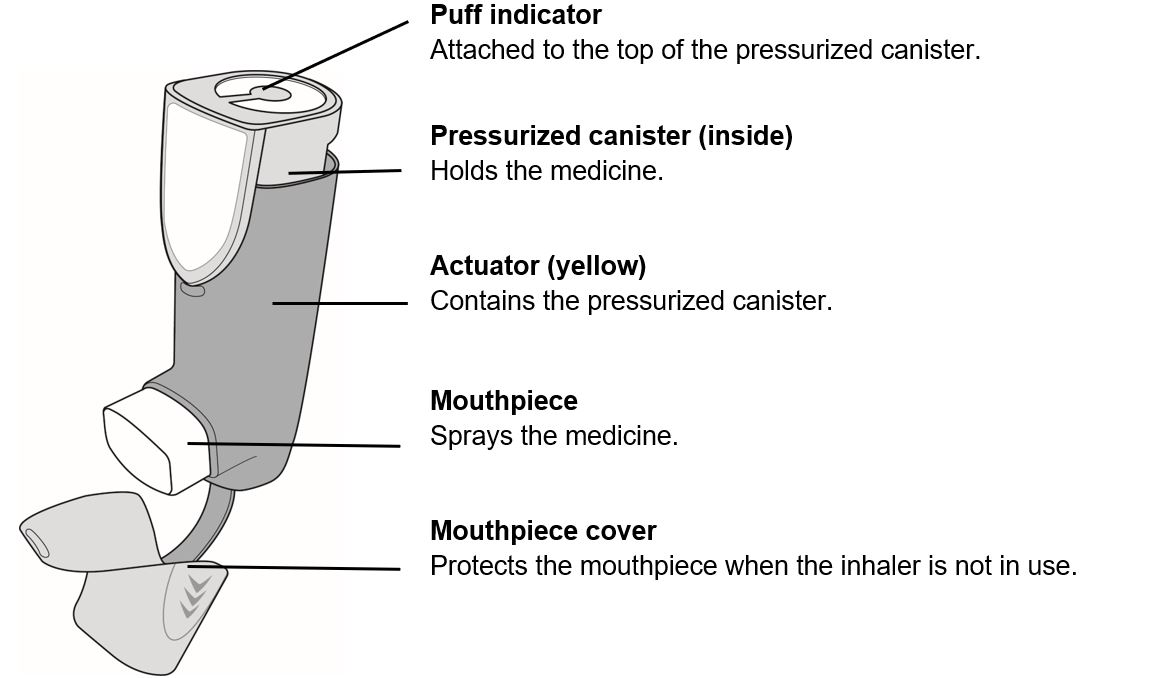2 IFU parts of your inhaler