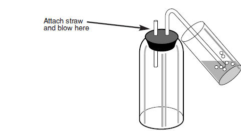 Figure 3: Typical Safety Trap