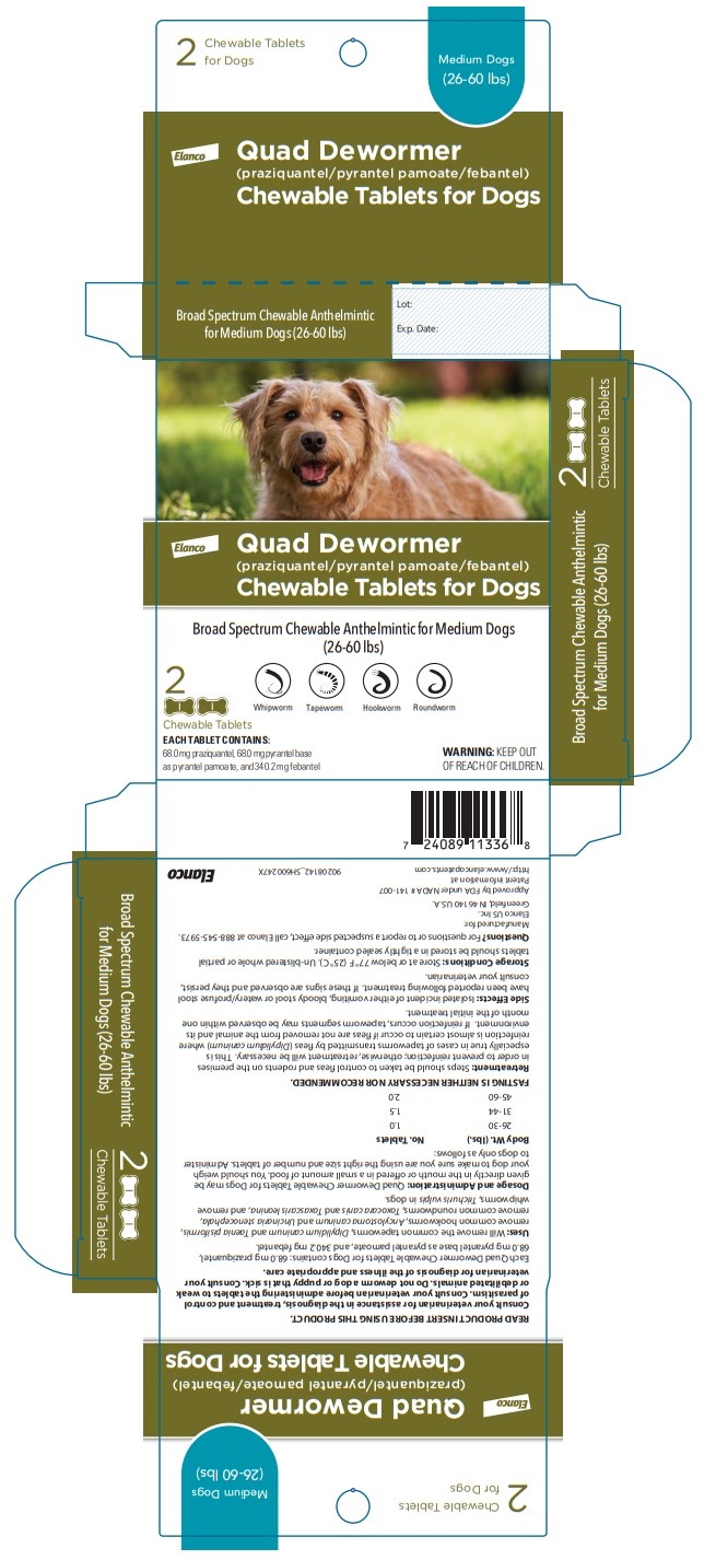 Principal Display Panel - Medium Dogs Carton Label