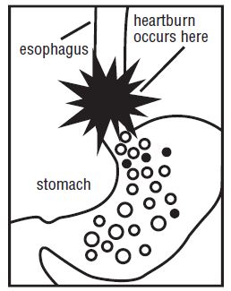 ran-150mg-otc-esophagus
