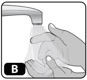Wash your hands with soap and water and dry using a clean towel or air dry (Figure B).