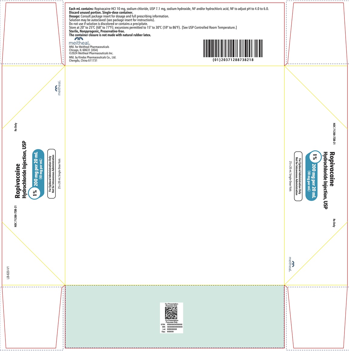 PRINCIPAL DISPLAY PANEL – Ropivacaine Hydrochloride Injection, USP 200 mg per 20 mL Carton