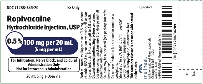 PRINCIPAL DISPLAY PANEL – Ropivacaine Hydrochloride Injection, USP 100 mg per 20 mL Vial Label