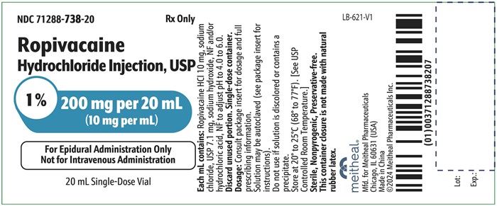 PRINCIPAL DISPLAY PANEL – Ropivacaine Hydrochloride Injection, USP 200 mg per 20 mL Vial Label