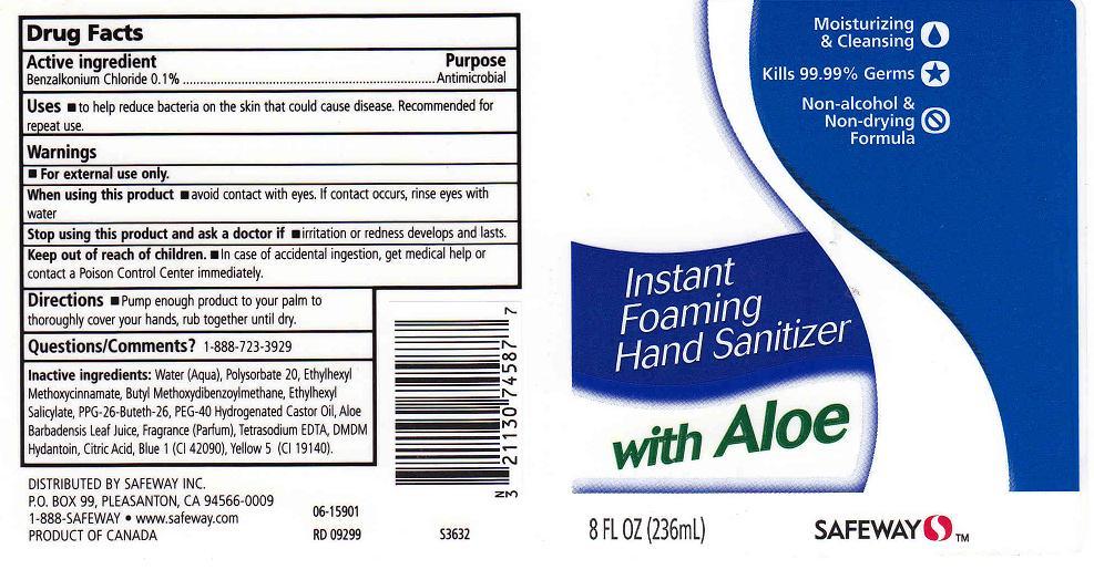 Foaming Hand Sanitizer With Aloe | Benzalkonium Chloride Liquid Breastfeeding