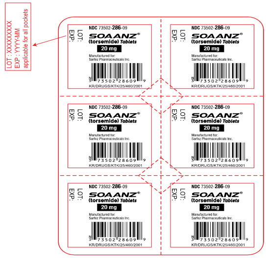 PRINCIPAL DISPLAY PANEL - 20 mg Tablet Blister Pack Label