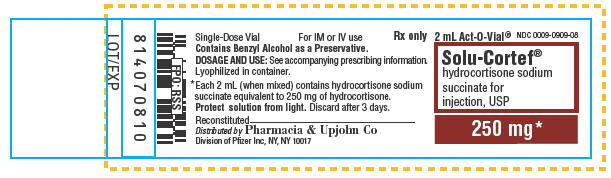 PRINCIPAL DISPLAY PANEL - 250 mg Single-Dose Vial Carton