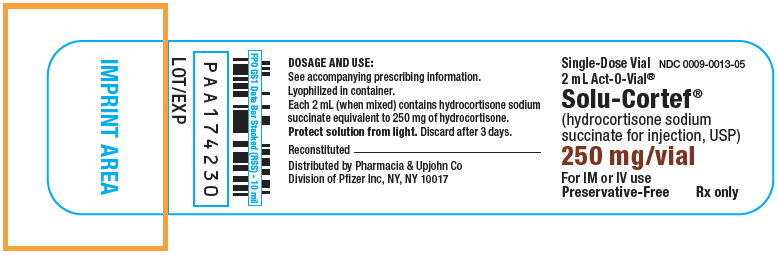 PRINCIPAL DISPLAY PANEL - 250 mg Single-Dose Vial Label