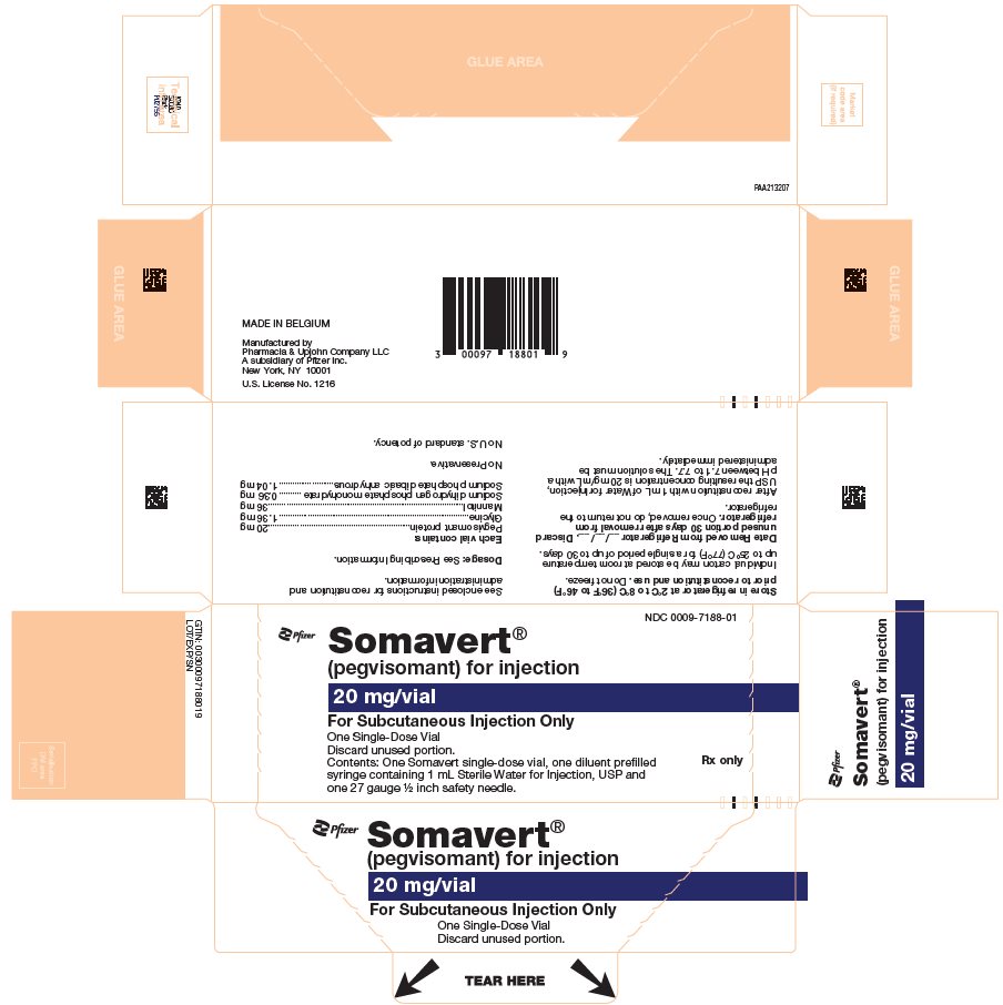 PRINCIPAL DISPLAY PANEL - Kit Carton - 7188-01