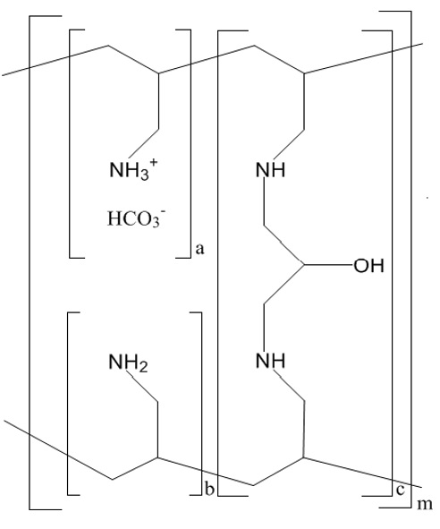 Figure 1: Structure of Sevelamer Carbonate