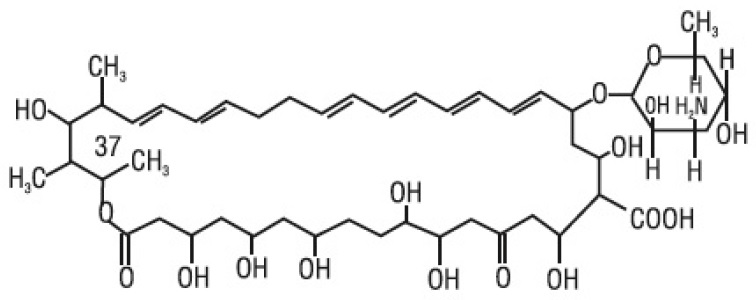 structure-nystatin