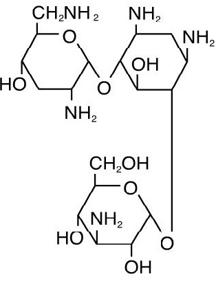 Molecular Formula