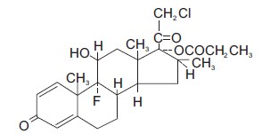 structure.jpg