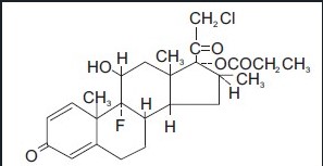 structure.jpg