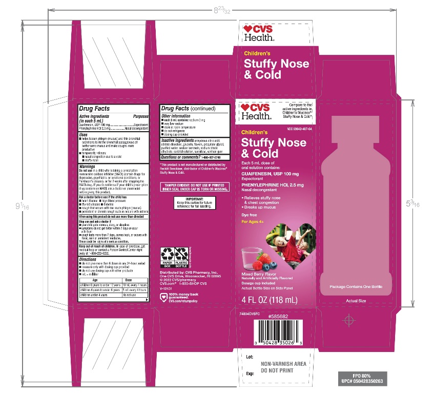 CVS Children's Stuffy Nose and Cold Relief Syrup