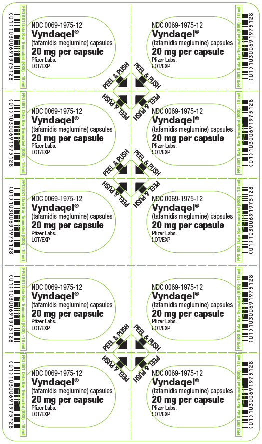 PRINCIPAL DISPLAY PANEL - 20 mg Capsule Blister Card