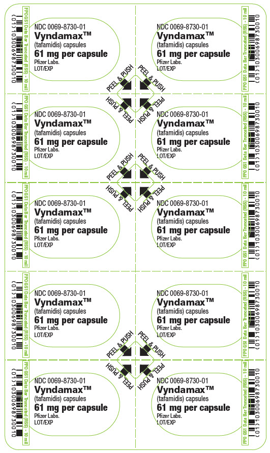 PRINCIPAL DISPLAY PANEL - 61 mg Capsule Blister Card